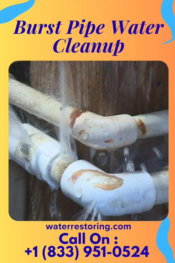 Burst Pipe Water Cleanup in Sea Bright, NJ
