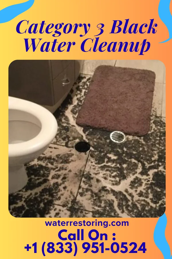 Category 3 Black Water Cleanup in Sea Bright, NJ