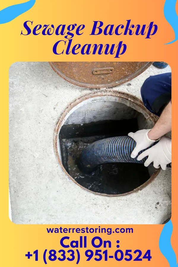 Sewage Backup Cleanup in Sea Bright, NJ