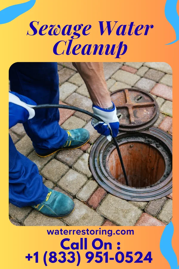Sewage Water Cleanup in Sea Bright, NJ