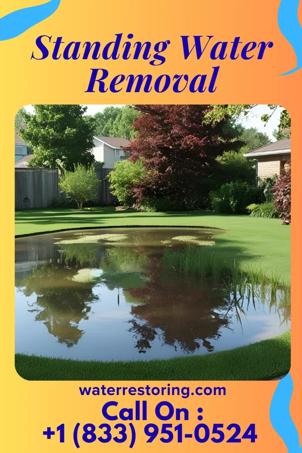 Standing Water Removal in Sea Bright, NJ